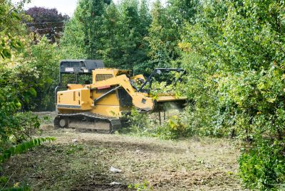 Land Clearing Consultation