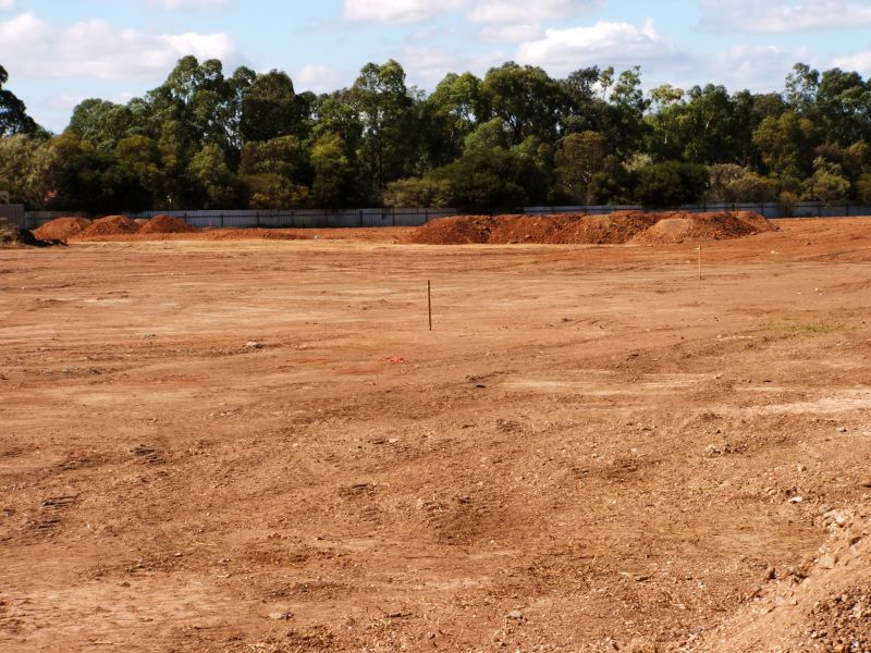 Post-Clearing Site Inspection