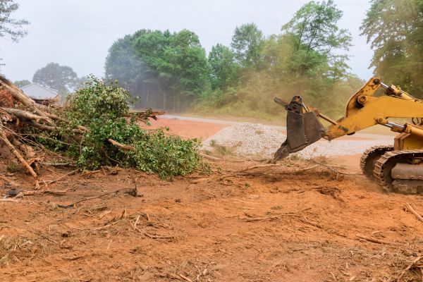 Ground Clearing in Clayton