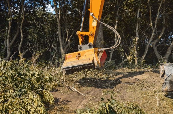 Brush Removal Service in Clayton