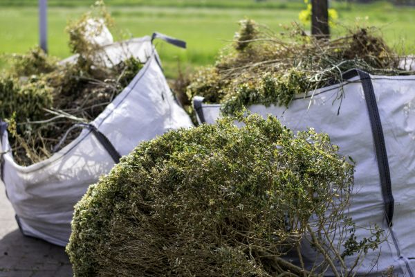 Bushes Clearing in Clayton
