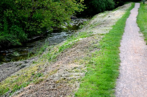 Trail Cutting in Clayton